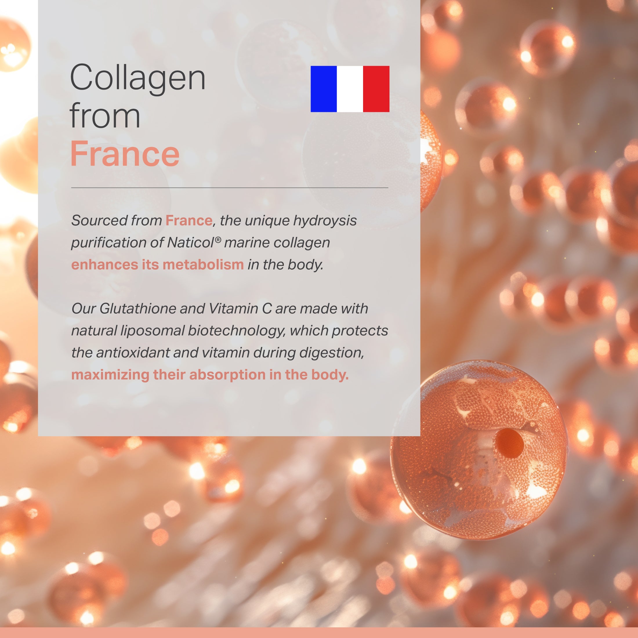Liposomal Glutathione Complex