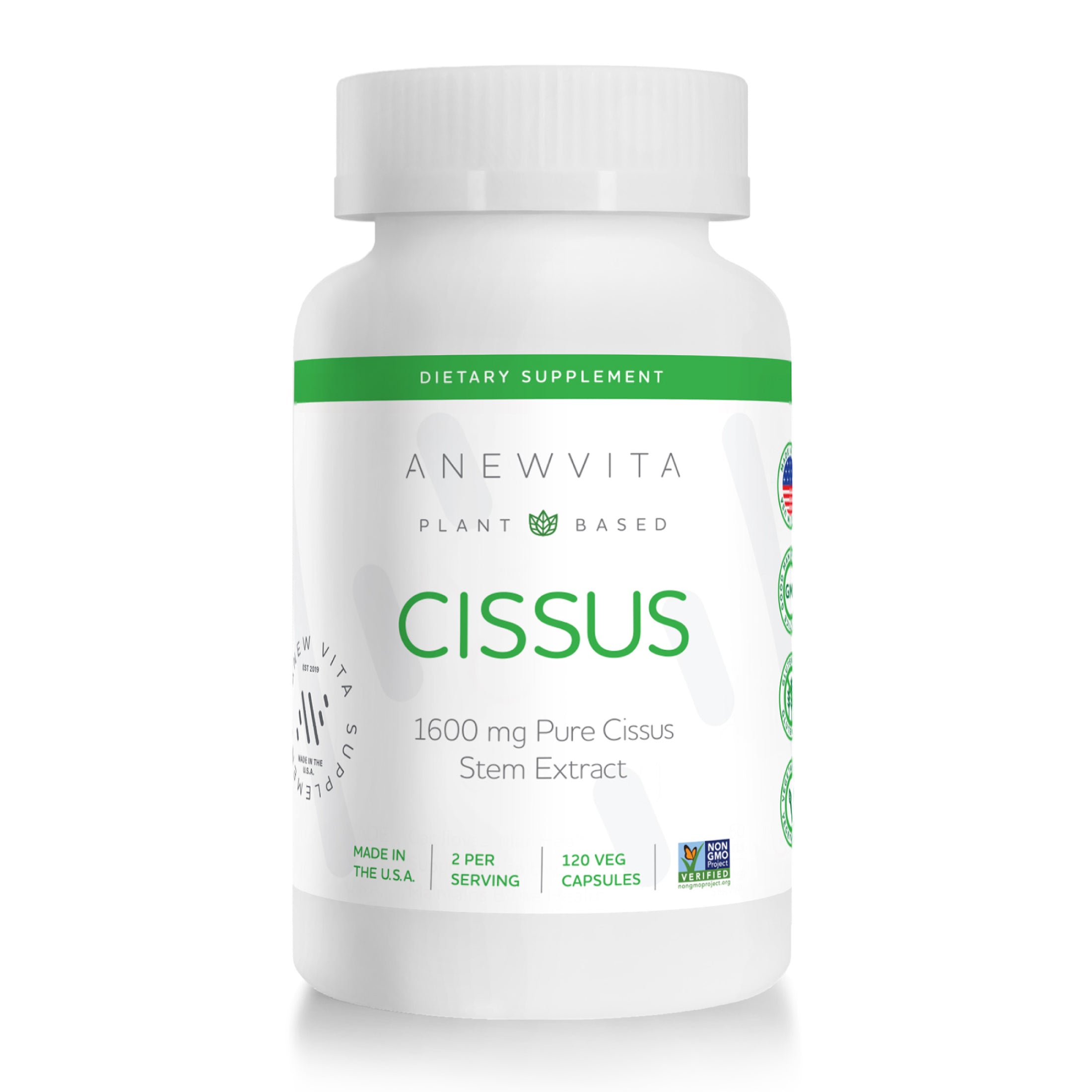 Cissus