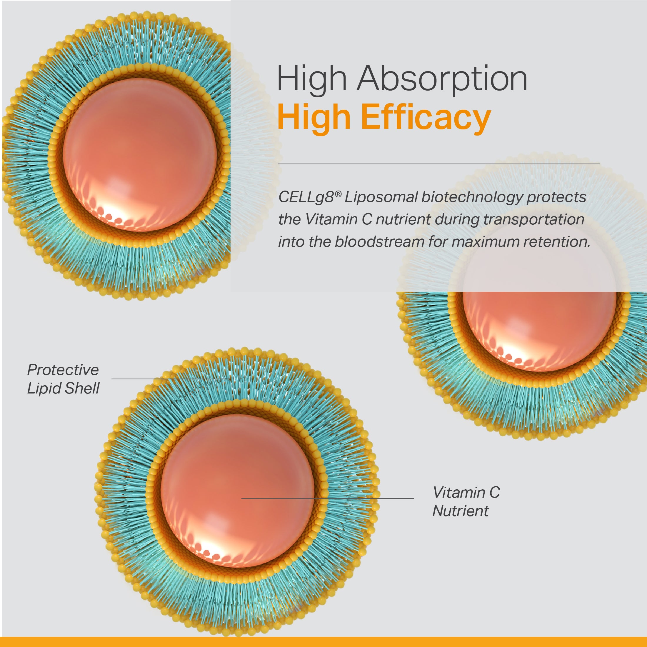 Liposomal Vitamin C